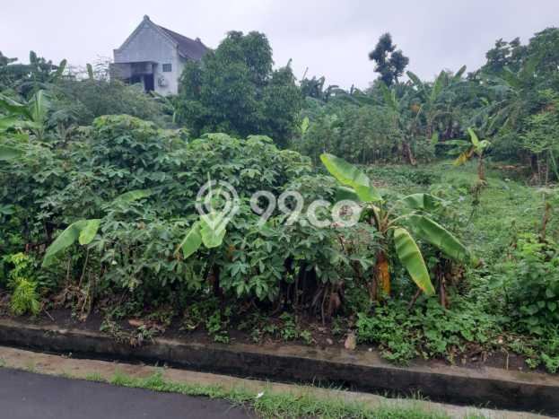 Tanah Kavling Dijual di Bintaro, Tangerang Selatan dengan Luas Tanah 1000m2 Tanah Kavling Dijual di Bintaro, Tangerang Selatan dengan Luas Tanah 1000m2