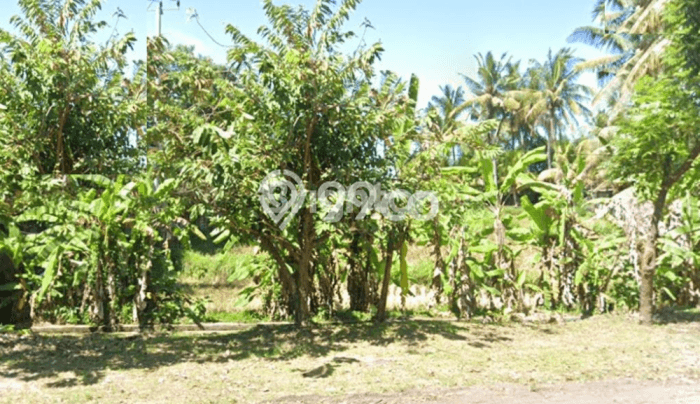 Untuk Dijual Tanah 1500m2 di Medahan, Gianyar Untuk Dijual Tanah 1500m2 di Medahan, Gianyar
