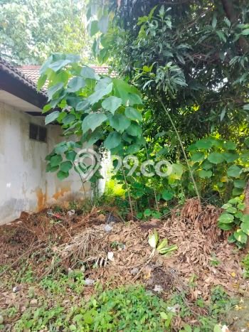 Dijual Rumah 3 Kamar Lokasi Ideal Nyaman dan Strategis di Serpong Dijual Rumah 3 Kamar Lokasi Ideal Nyaman dan Strategis di Serpong