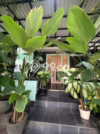 Jual Rumah Luas Elegan Dengan View Cantik di Gading Serpong, Tangerang Jual Rumah Luas Elegan Dengan View Cantik di Gading Serpong, Tangerang