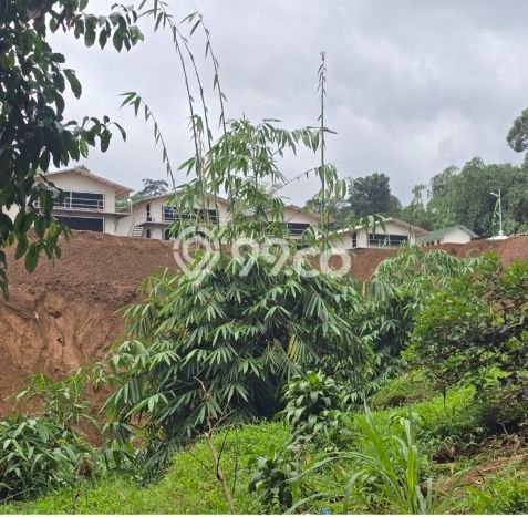 Lahan Kosong Dijual di Bogor dengan Area 20000m2 Lahan Kosong Dijual di Bogor dengan Area 20000m2