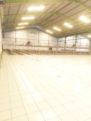 Pabrik Disewa di Sepatan, Tangerang, LT 5000m2 / LB 3000m2 Pabrik Disewa di Sepatan, Tangerang, LT 5000m2 / LB 3000m2