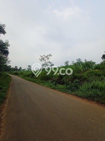Untuk Dijual Tanah di Cileles Lebak Luas 110000m2 SHM Untuk Dijual Tanah di Cileles Lebak Luas 110000m2 SHM