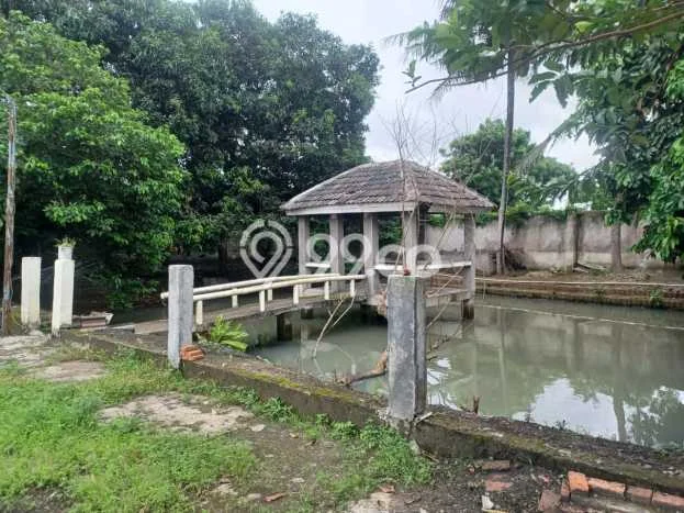 Unit Gudang Paling Strategis di Rajeg Tangerang dengan LB 200m2 Unit Gudang Paling Strategis di Rajeg Tangerang dengan LB 200m2