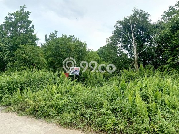 Kavling Tanah Dijual di Pontianak Selatan Pontianak Spesifikasi 1380m2 Kavling Tanah Dijual di Pontianak Selatan Pontianak Spesifikasi 1380m2