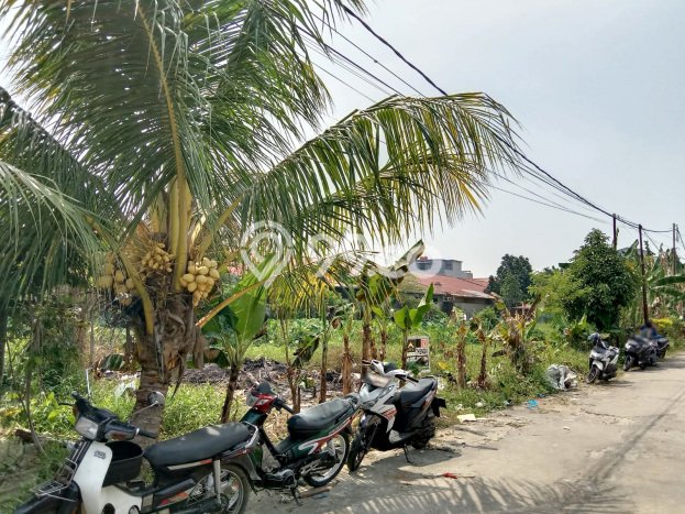 Tanah Kavling untuk Dijual di Pontianak Tenggara Pontianak 800m2 Tanah Kavling untuk Dijual di Pontianak Tenggara Pontianak 800m2