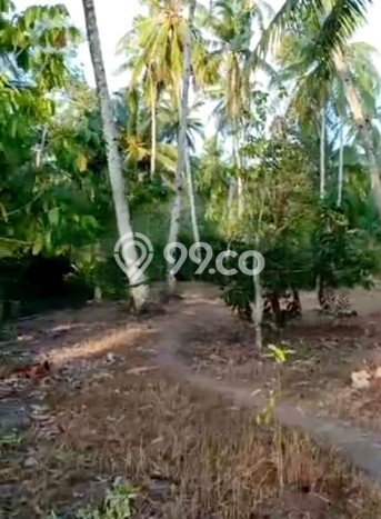 Tanah Dijual di Pontianak Seluas 10125m2 Strategis Tanah Dijual di Pontianak Seluas 10125m2 Strategis