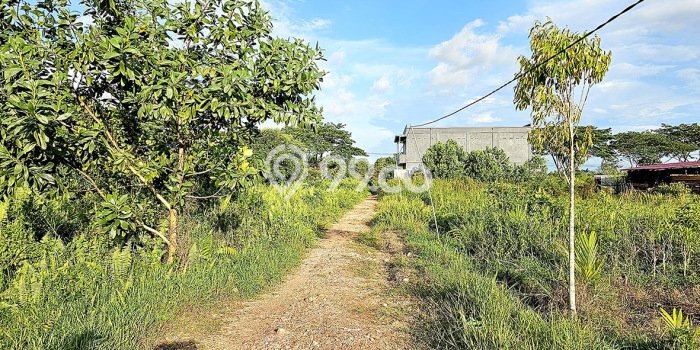 Tanah di Pontianak Selatan, Pontianak Luas 500m2 Dijual Segera Tanah di Pontianak Selatan, Pontianak Luas 500m2 Dijual Segera