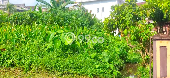 Kavling Tanah Lokasi Strategis di Pontianak Selatan, Pontianak Disewakan 832m2 Kavling Tanah Lokasi Strategis di Pontianak Selatan, Pontianak Disewakan 832m2
