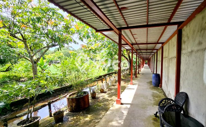 Jarang Ada! Tanah di Pontianak Kota Punya Luas 15096m2 SHM Jarang Ada! Tanah di Pontianak Kota Punya Luas 15096m2 SHM