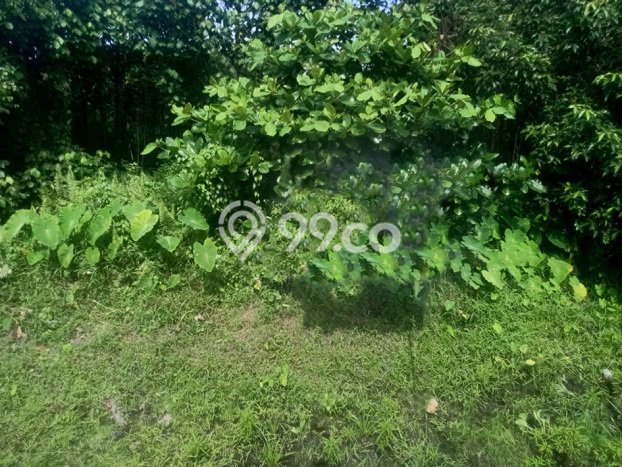 Tanah Kosong Dijual di Pontianak dengan Area 420m2 Tanah Kosong Dijual di Pontianak dengan Area 420m2