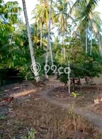 Tanah Dijual Lokasi Pontianak Kota, Pontianak Luas 10313m2 Legalitas Aman Tanah Dijual Lokasi Pontianak Kota, Pontianak Luas 10313m2 Legalitas Aman
