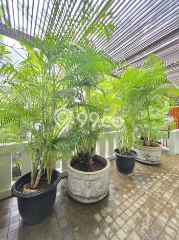 Jarang Ada! Rumah Sewa 3 Kamar Bagus Siap Huni SCBD Jarang Ada! Rumah Sewa 3 Kamar Bagus Siap Huni SCBD