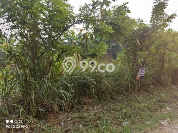 Tanah untuk Dijual di Gunung Sindur Bogor Luas 967m2 Tanah untuk Dijual di Gunung Sindur Bogor Luas 967m2