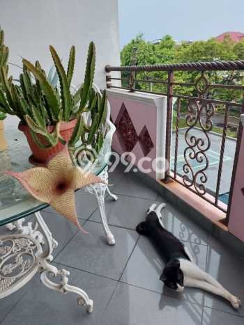 Hot Offer Hunian Premium Ideal dan Luas di Duren Sawit, Jakarta Timur Hot Offer Hunian Premium Ideal dan Luas di Duren Sawit, Jakarta Timur