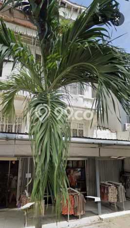 Ruko Paling Dicari LB 232m2 Dijual di Tanah Abang Ruko Paling Dicari LB 232m2 Dijual di Tanah Abang