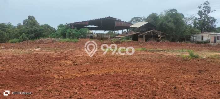 Kavling Tanah Dijual di Parung Panjang, Bogor, Luas 8000m2 Area Strategis Kavling Tanah Dijual di Parung Panjang, Bogor, Luas 8000m2 Area Strategis