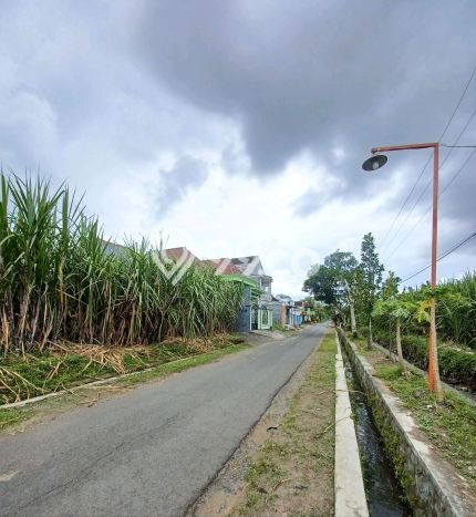 Dijual Tanah di Bululawang Malang Luas 5000m2 SHM Dijual Tanah di Bululawang Malang Luas 5000m2 SHM