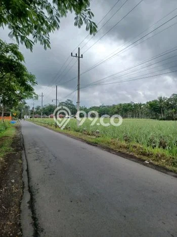 Tanah Dijual Lokasi Bululawang, Malang Luas 17500m2 Legalitas Aman Tanah Dijual Lokasi Bululawang, Malang Luas 17500m2 Legalitas Aman