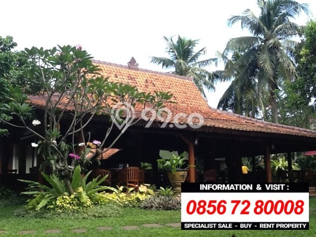 Jual Rumah Luas Megah Dengan View Cantik di Lebak Bulus, Jakarta Selatan Jual Rumah Luas Megah Dengan View Cantik di Lebak Bulus, Jakarta Selatan