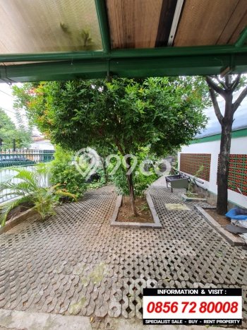 Rumah Elit Modern Tanpa Renovasi di Bendungan Hilir Jakarta Pusat Rumah Elit Modern Tanpa Renovasi di Bendungan Hilir Jakarta Pusat