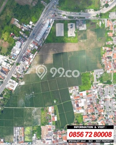 Jarang Ada! Tanah di Karawang Timur Punya Luas 90000m2 SHM Jarang Ada! Tanah di Karawang Timur Punya Luas 90000m2 SHM