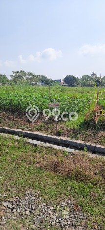 Tanah Komersial Dijual di Rajeg Tangerang 60m2 Tanah Komersial Dijual di Rajeg Tangerang 60m2