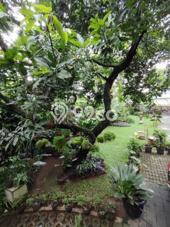 Hunian Elit LB 290m2 Siap Huni Desain Elegan di Cipete, Jakarta Selatan Hunian Elit LB 290m2 Siap Huni Desain Elegan di Cipete, Jakarta Selatan