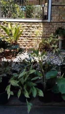 Jual Rumah Bagus Siap Huni LB 110m2 di Margaasih, Bandung Jual Rumah Bagus Siap Huni LB 110m2 di Margaasih, Bandung