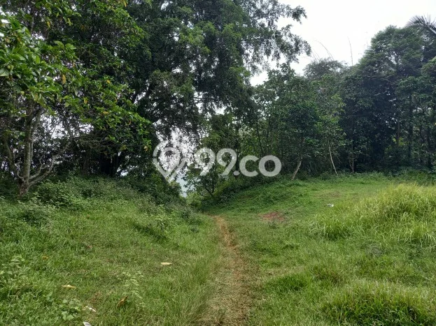LOKASI STRATEGIS! Tanah Kawasan Cariu, Luas 68990m2m², Lingkungan Nyaman, Cocok untuk Investasi LOKASI STRATEGIS! Tanah Kawasan Cariu, Luas 68990m2m², Lingkungan Nyaman, Cocok untuk Investasi