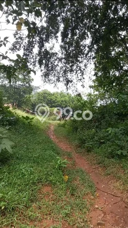 LOKASI STRATEGIS! Tanah Kawasan Cariu, Luas 68990m2m², Lingkungan Nyaman, Cocok untuk Investasi LOKASI STRATEGIS! Tanah Kawasan Cariu, Luas 68990m2m², Lingkungan Nyaman, Cocok untuk Investasi