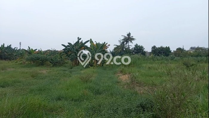 Tanah Kavling untuk Dijual di Cipondoh Tangerang 20000m2 Tanah Kavling untuk Dijual di Cipondoh Tangerang 20000m2