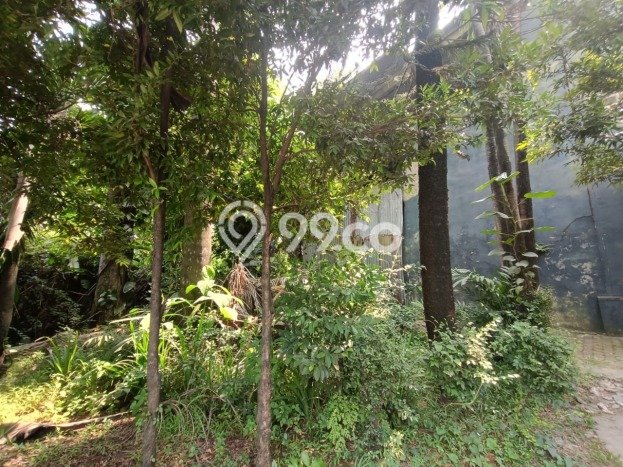 Tanah Dijual Lokasi Gunung Putri, Bogor Luas 15555m2 Legalitas Aman Tanah Dijual Lokasi Gunung Putri, Bogor Luas 15555m2 Legalitas Aman
