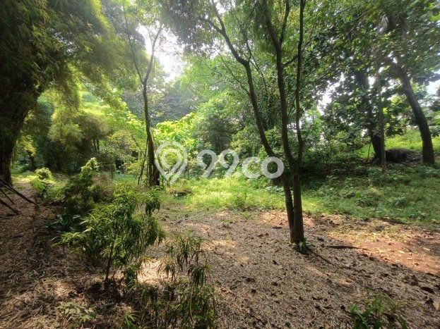 Tanah Dijual Lokasi Gunung Putri, Bogor Luas 15555m2 Legalitas Aman Tanah Dijual Lokasi Gunung Putri, Bogor Luas 15555m2 Legalitas Aman