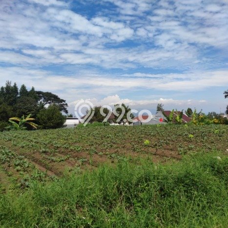 Tanah Kavling Dijual di Setiabudi, Bandung dengan Luas Tanah 830m2 Tanah Kavling Dijual di Setiabudi, Bandung dengan Luas Tanah 830m2