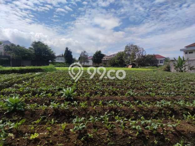 Dijual Tanah Lokasi Setiabudi, Bandung Seluas 1980m2 Dijual Tanah Lokasi Setiabudi, Bandung Seluas 1980m2