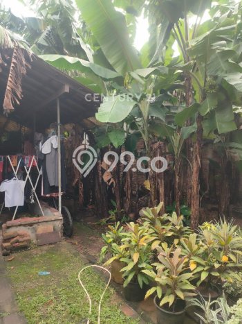 Rumah Mewah LB 400m2 Siap Pakai Desain Elegan di Percetakan Negara, Jakarta Pusat Rumah Mewah LB 400m2 Siap Pakai Desain Elegan di Percetakan Negara, Jakarta Pusat