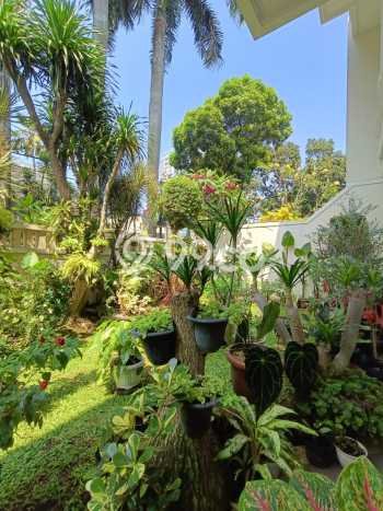 Dijual Rumah Mewah Exclusive di Kebayoran Baru, Jakarta Selatan Dijual Rumah Mewah Exclusive di Kebayoran Baru, Jakarta Selatan