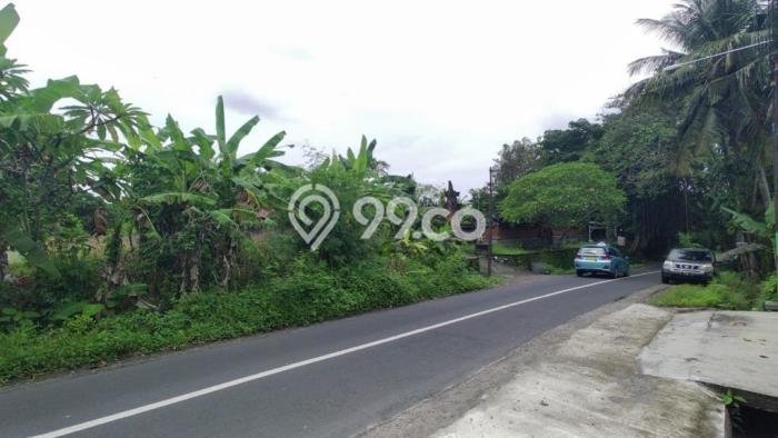 Tanah Kavling Dijual di Tabanan dengan Spesifikasi 690m2 Tanah Kavling Dijual di Tabanan dengan Spesifikasi 690m2