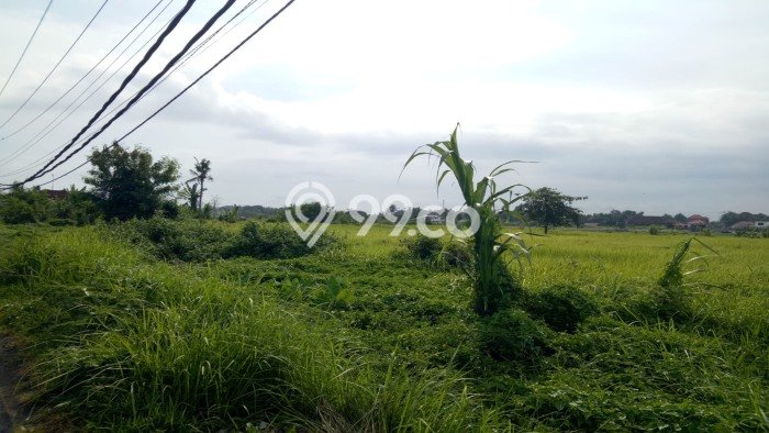 Dijual Tanah di Badung, Luas 6600m2 SHM Dijual Tanah di Badung, Luas 6600m2 SHM