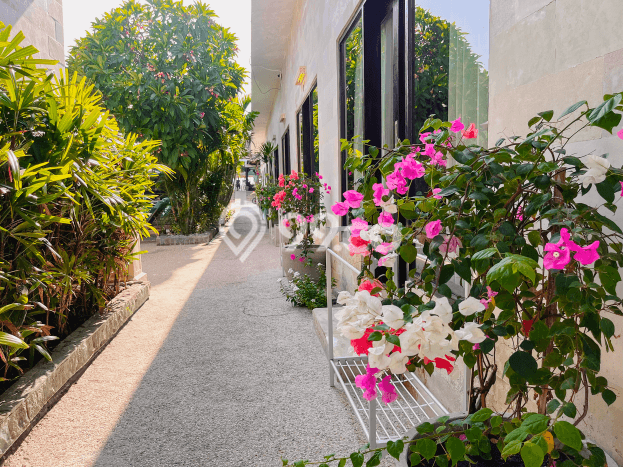 Hotel Premium Kawasan , Luas 850m2m², Pusat Komersial, Akses Lombok Utara, Lombok Utara Hotel Premium Kawasan , Luas 850m2m², Pusat Komersial, Akses Lombok Utara, Lombok Utara