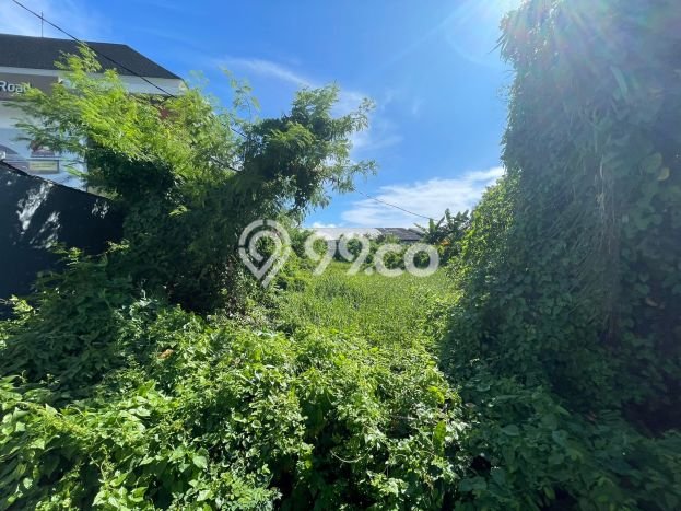 Tanah Kavling untuk Dijual di Kuta Badung 1280m2 Tanah Kavling untuk Dijual di Kuta Badung 1280m2