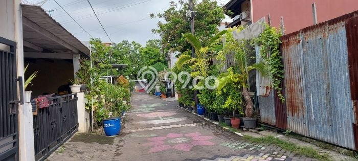 Jarang Ada! Tanah di Gayamsari Punya Luas 185m2 SHM Jarang Ada! Tanah di Gayamsari Punya Luas 185m2 SHM