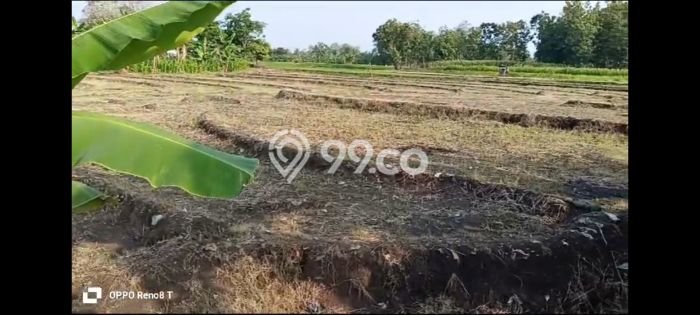 Tanah Strategis Dijual di Pringapus Semarang 10000m2 Tanah Strategis Dijual di Pringapus Semarang 10000m2