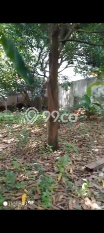 Tanah Disewa di Tegal Barat Tegal dengan Luas 10000m2 Tanah Disewa di Tegal Barat Tegal dengan Luas 10000m2