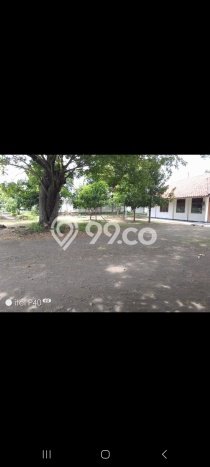 Tanah Disewa di Tegal Barat Tegal dengan Luas 10000m2 Tanah Disewa di Tegal Barat Tegal dengan Luas 10000m2