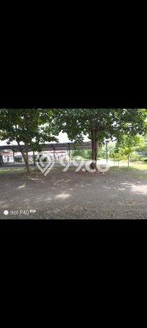 Tanah Disewa di Tegal Barat Tegal dengan Luas 10000m2 Tanah Disewa di Tegal Barat Tegal dengan Luas 10000m2