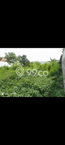 Tanah Disewa di Tegal Barat Tegal dengan Luas 10000m2 Tanah Disewa di Tegal Barat Tegal dengan Luas 10000m2