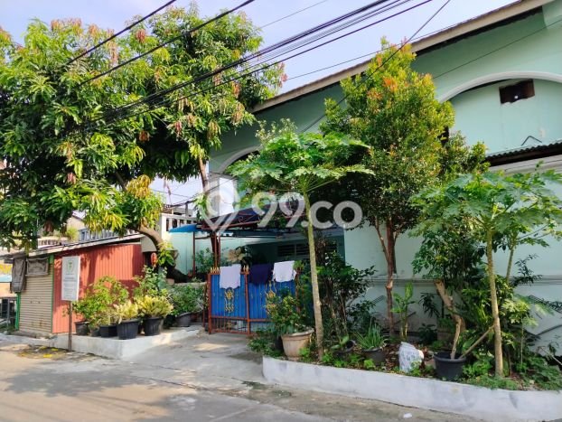 Rumah Mewah LB 250m2 Siap Pakai Desain Elegan di Kayu Putih, Jakarta Timur Rumah Mewah LB 250m2 Siap Pakai Desain Elegan di Kayu Putih, Jakarta Timur