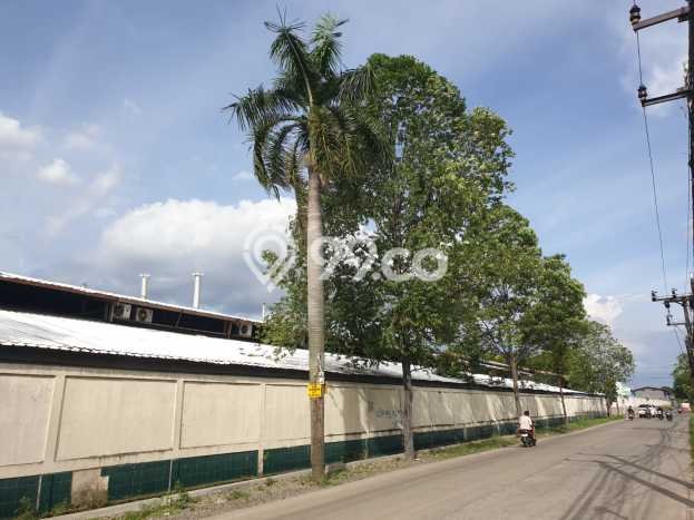 Dijual! Pabrik di Jatake Tangerang LT 16965m2 / LB 10000m2 Kawasan Strategis Dijual! Pabrik di Jatake Tangerang LT 16965m2 / LB 10000m2 Kawasan Strategis